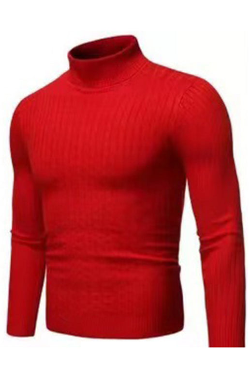 Men's Warm Turtleneck Slim Fit Fall Winter Knitted Pullover Sweaters