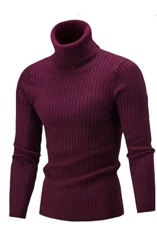 Men's Warm Turtleneck Slim Fit Fall Winter Knitted Pullover Sweaters